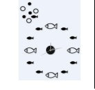 DIY decorative fish wall clock