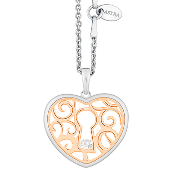 ASTRA Open Heart