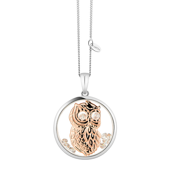 ASTRA Wise Owl